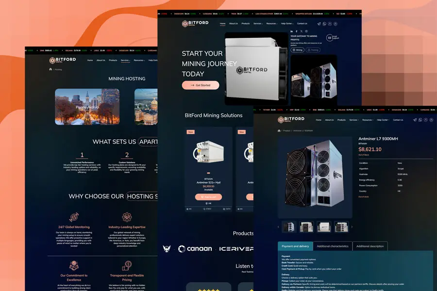 E-commerce Websites